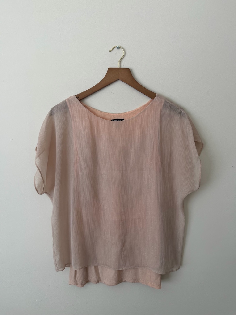Express Sheer Blush Pink Short Sleeve Blouse Sparkles